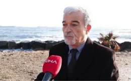 Balon balıkları için Nisan ayı uyarısı; Ne hamsi, ne istavrit kalacak