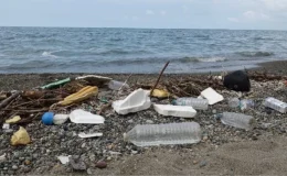 Doğu Karadeniz’de Küresel Isınmanın Etkisiyle Artan Yağışlar Kirliliğe Neden Oluyor
