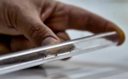 Kış Aylarında Sivrisinek Tehlikesi Devam Ediyor