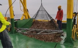 Balık Türlerinin Bilinçsiz Tüketimi Ölüme Yol Açabilir