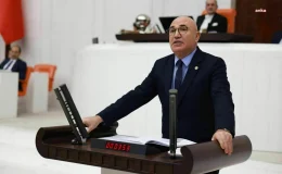 CHP, Erzincan’daki Altın Madeni Tehdidi İçin TBMM’yi Acil Toplantıya Çağırdı