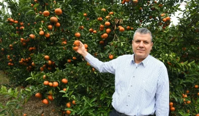 CHP Milletvekili Ayhan Barut, Narenciye Üreticilerinin Sorunlarına Çözüm İstedi