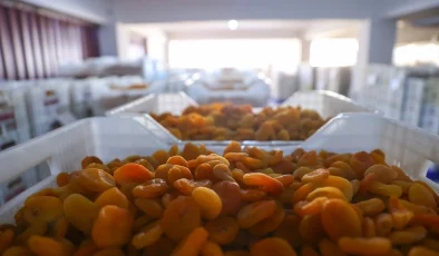 Malatya, kuru kayısı ihracatında rekor hedefliyor