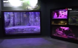 Akvaryumdaki yılanların canlı yem ile beslendiği iddiası asılsız çıktı