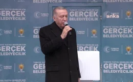 Erdoğan: İhtirasları İçin Tapulu Mülkü Olarak Gördükleri Seçmenlerimin İradesini Sağa Sola Peşkeş Çektiler