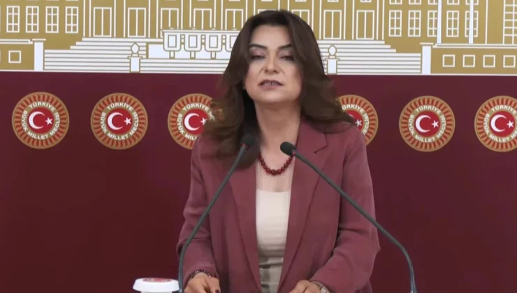 DEM Parti Grup Başkanvekili Gülüstan Kılıç Koçyiğit: Tahir Elçi’nin katilleri adalet önünde hesap vermeli