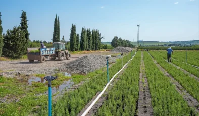 Diyarbakır Orman Fidanlık Müdürlüğü’nde Her Yıl 3 Milyon Fidan Yetiştiriliyor