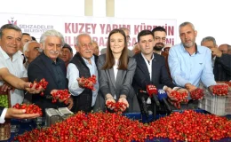 Manisa’da Kiraz Hasadı Başladı